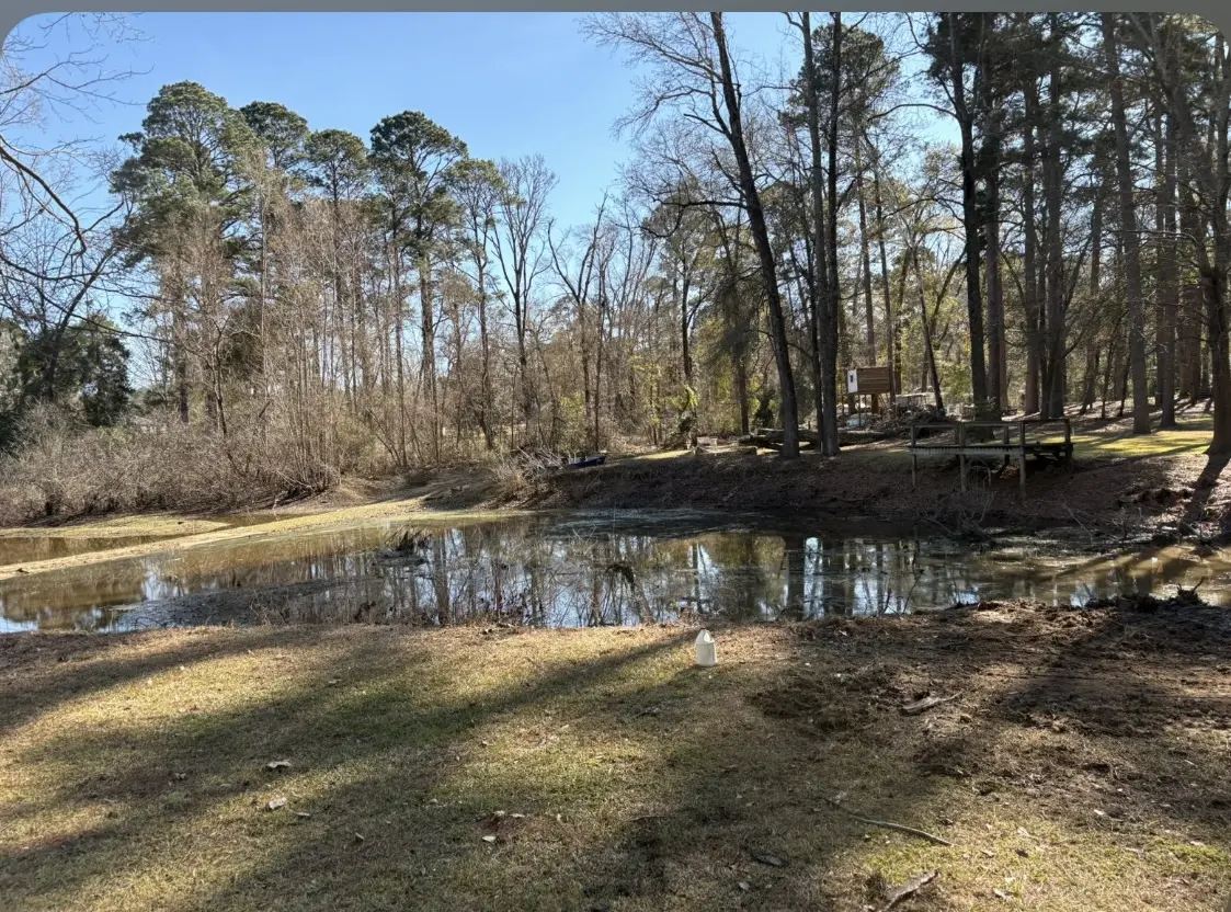 Pond edge after Fusion Land removed fallen timber and debris