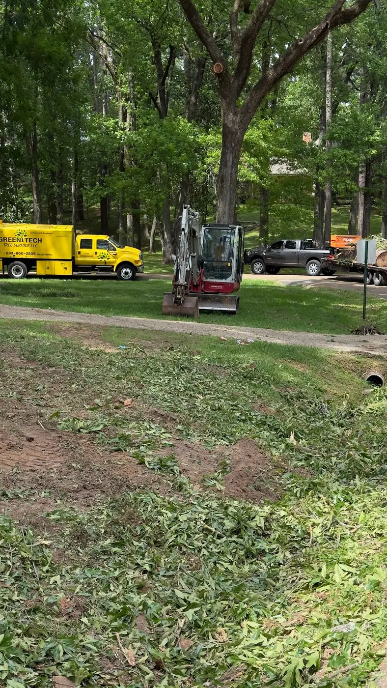 Compact excavator and cleanup trucks on a wooded residential property