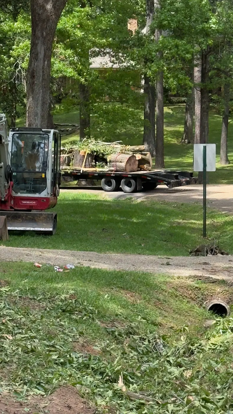 Fusion Land excavator working after tree removal