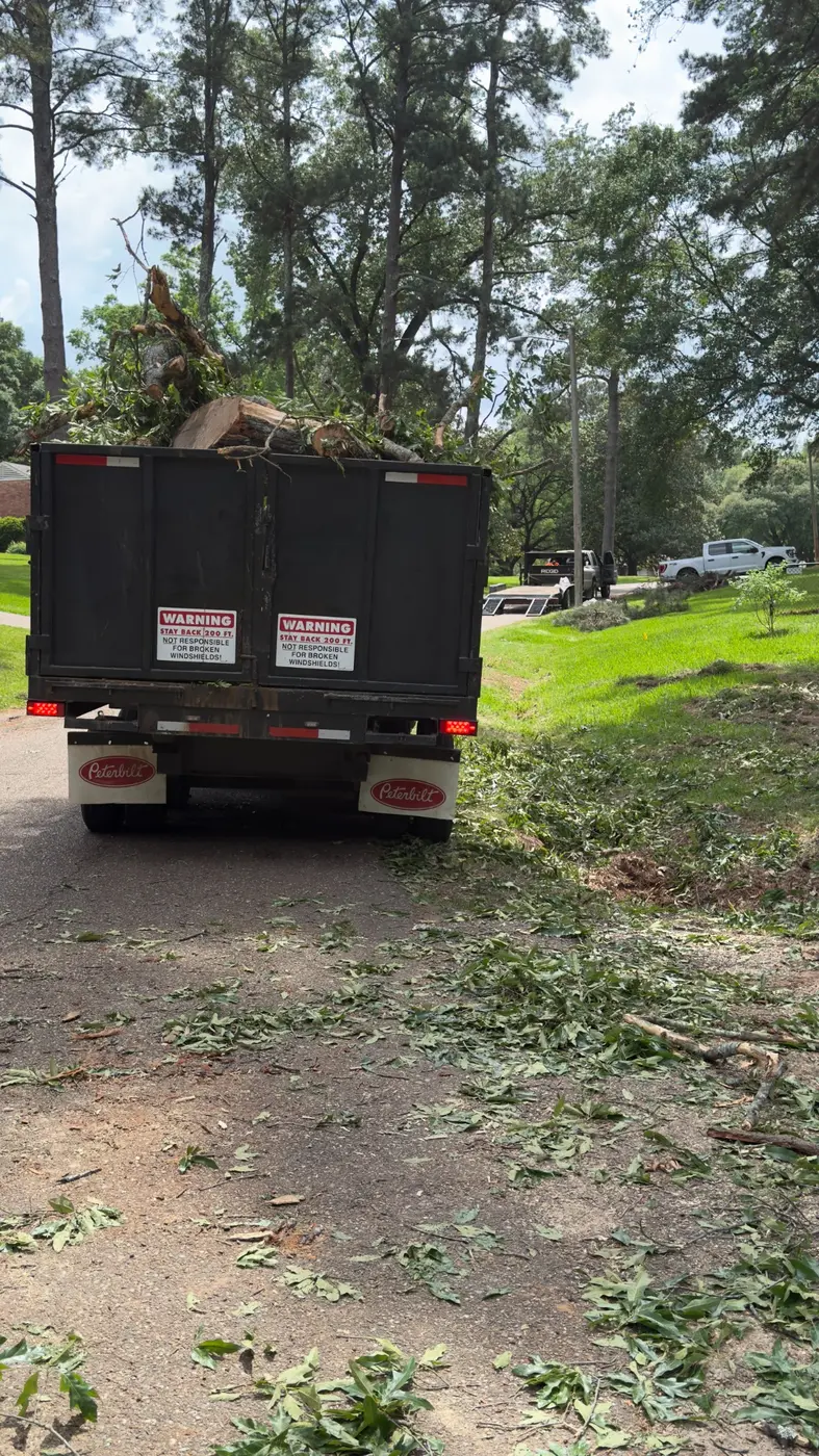 Loaded dump trailer during tree and debris cleanup